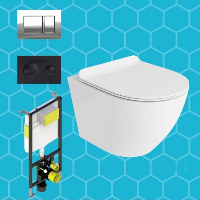 Wall Hung Toilet Frame & Dual Flush Plate